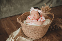 New Born